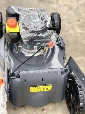 Leo 5.5hp Lawn Mower