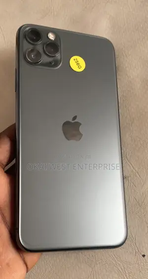 Apple iPhone 11 Pro Max 256 GB Gray