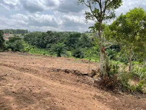 6 Plots for Sale at Ayim Near Ashesi University