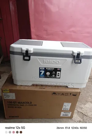 Original Igloo Maxcold - Usa