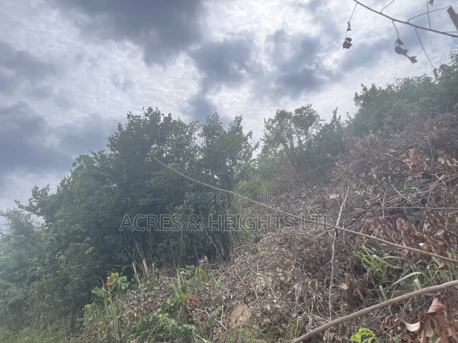 Land for Sale at Ayikuma