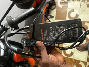 Electric Bike Charger