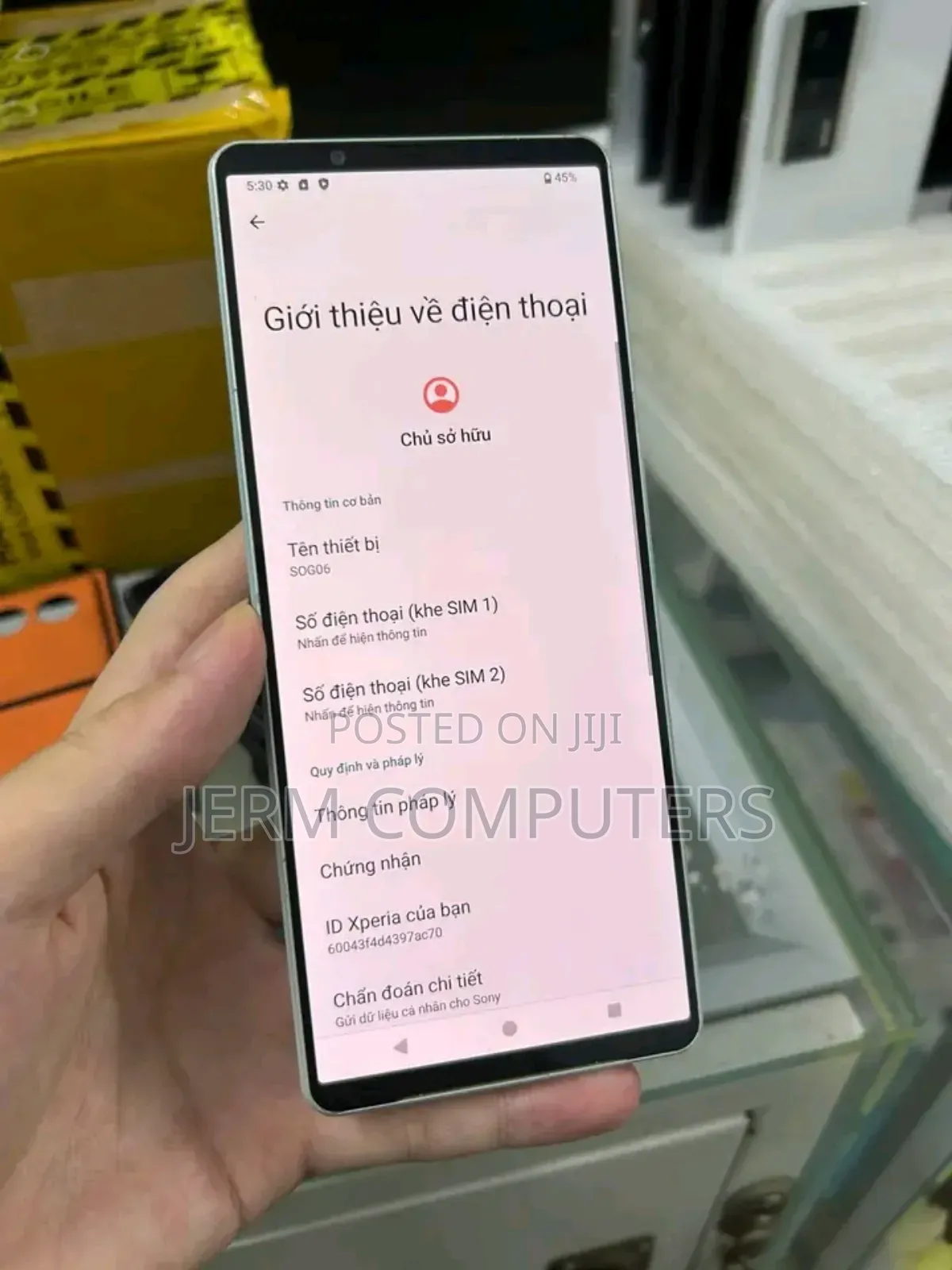 Sony Xperia 1 V 256 GB Gray