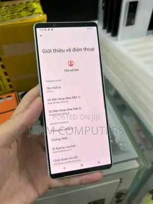 Sony Xperia 1 V 256 GB Gray