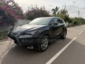 Lexus NX 2022 Black