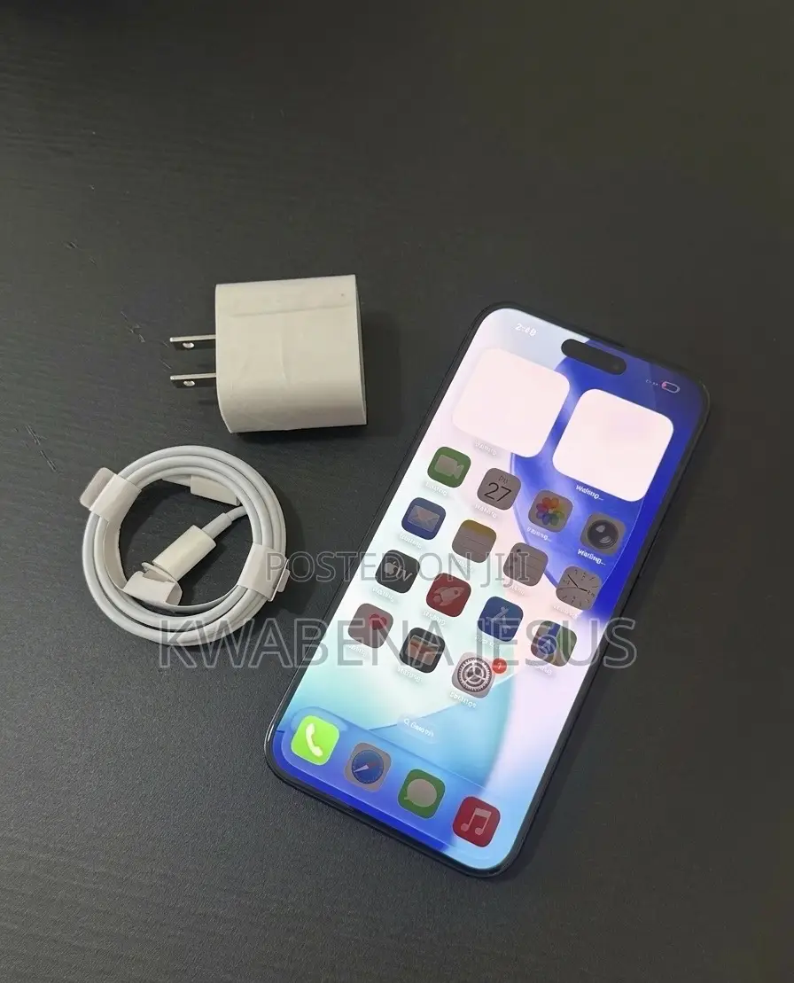 Apple iPhone 15 Pro Max 256 GB Gray