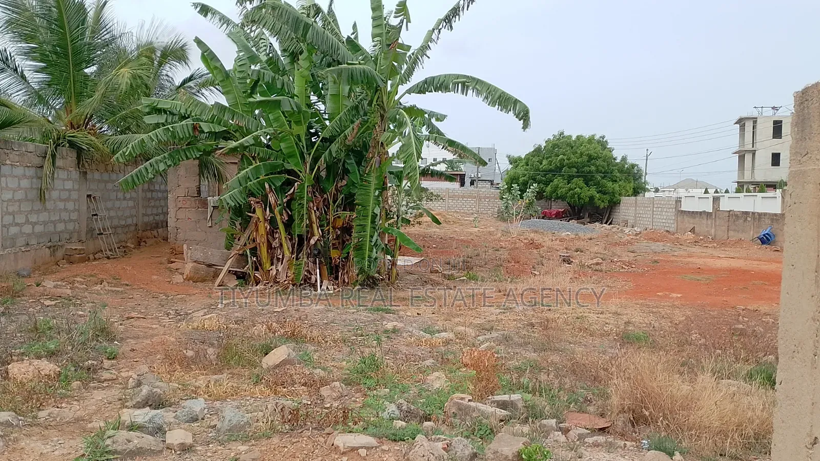 2 Plots of Title Land for Sale at Tseaddo Burma Hills.