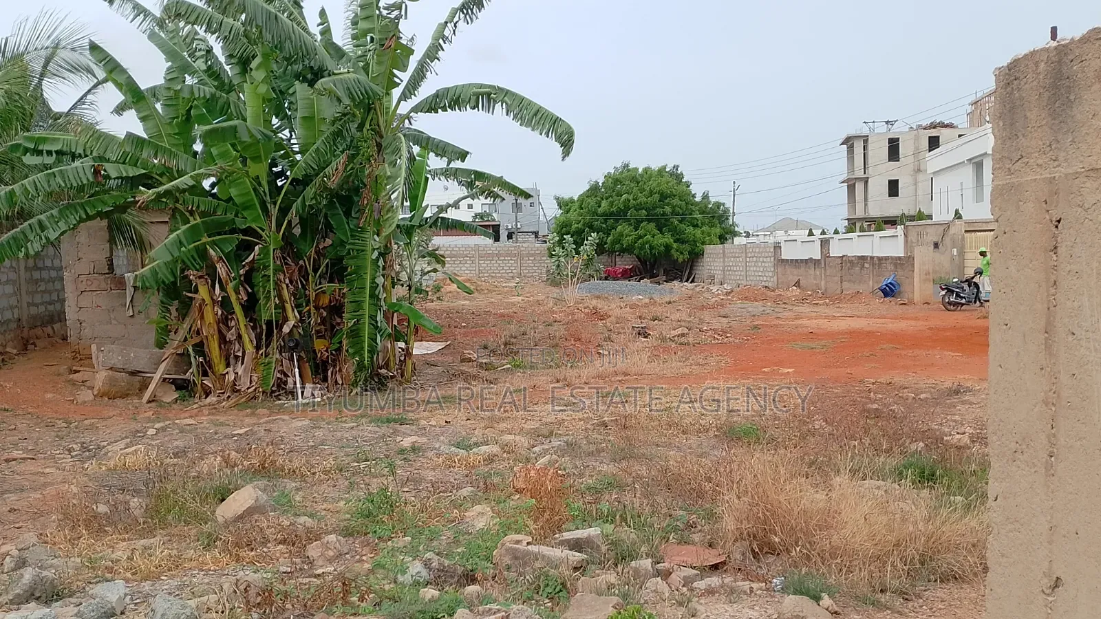 2 Plots of Title Land for Sale at Tseaddo Burma Hills.