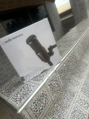 Studio Microphone