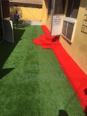 Normal Quality Grass Carpet