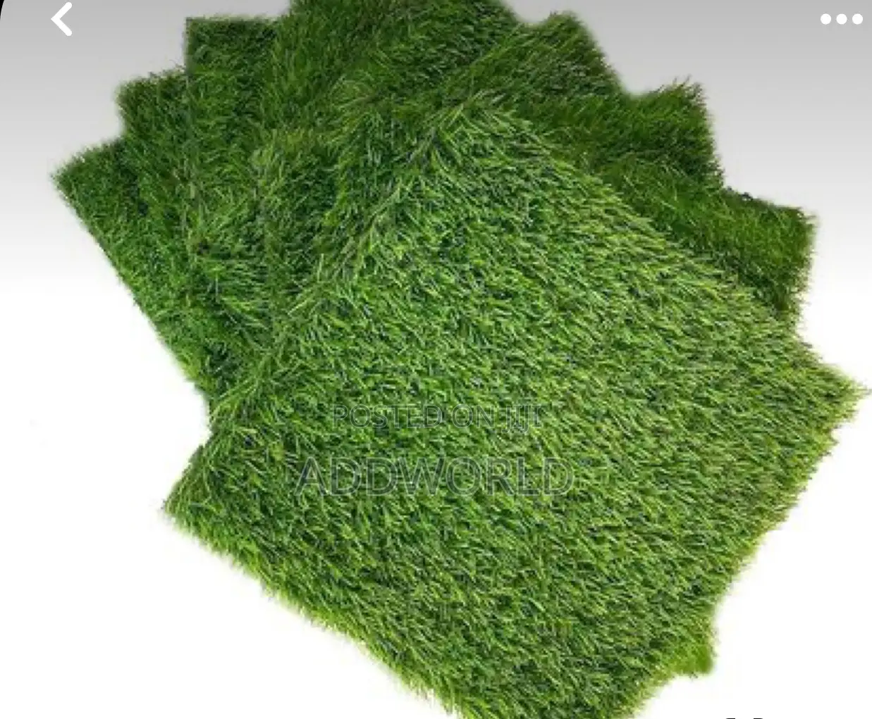 Normal Quality Grass Carpet