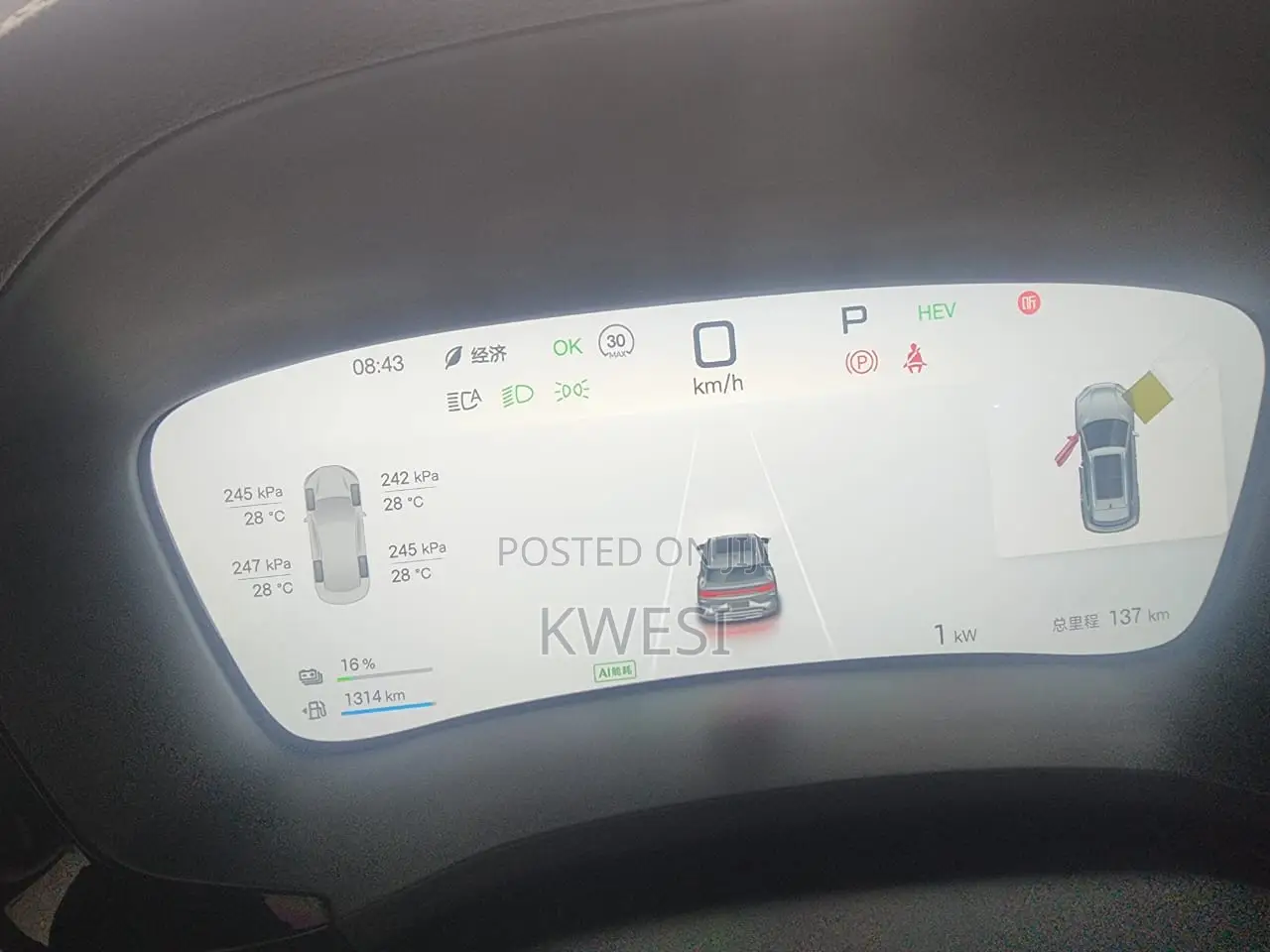 New BYD Song Plus DM-i 2025 White