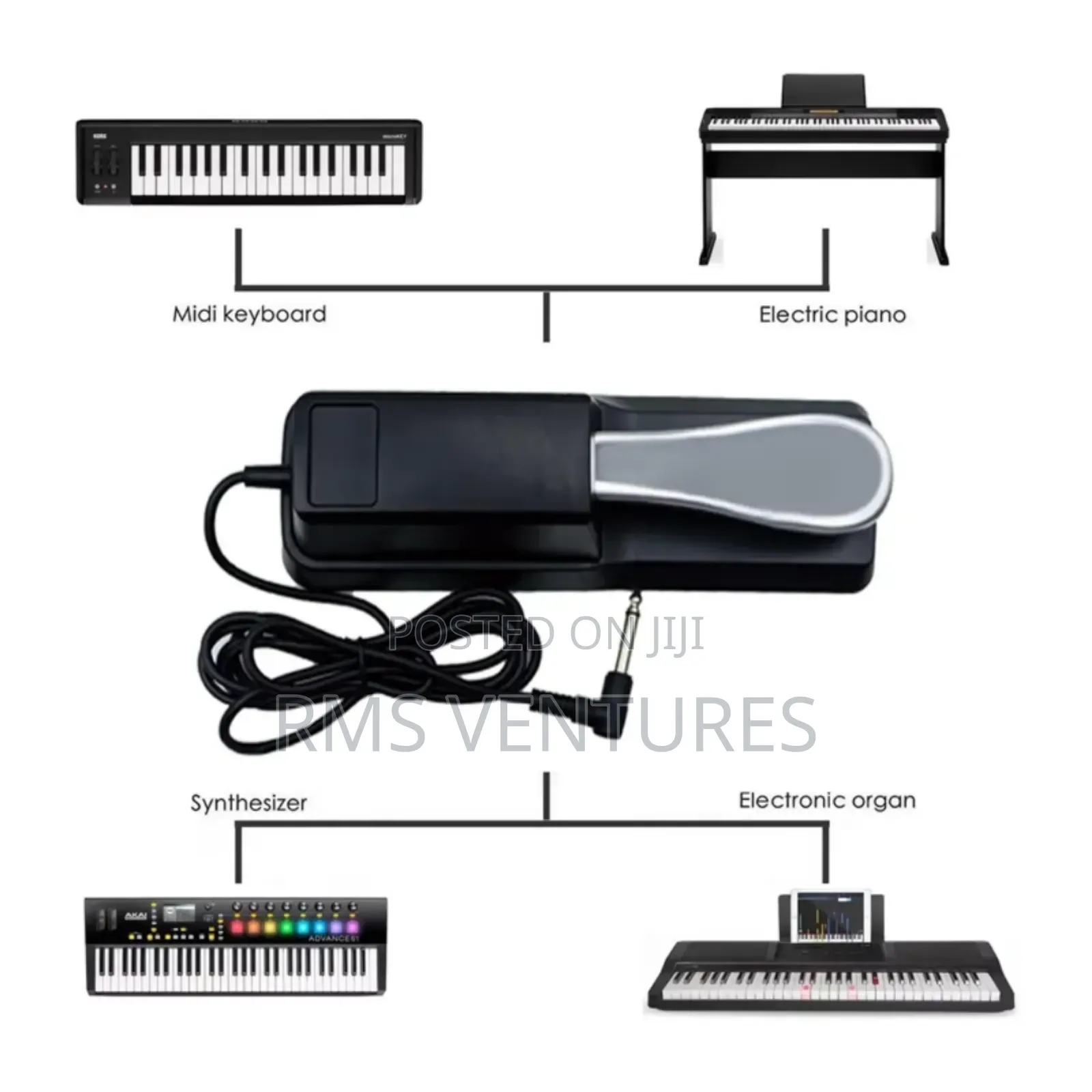 Musical Instrument (Sustain Pedal)