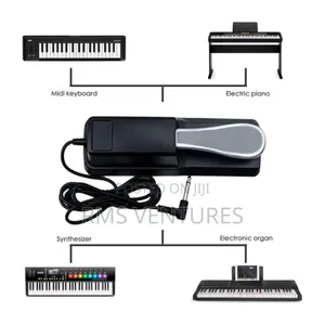 Musical Instrument (Sustain Pedal)