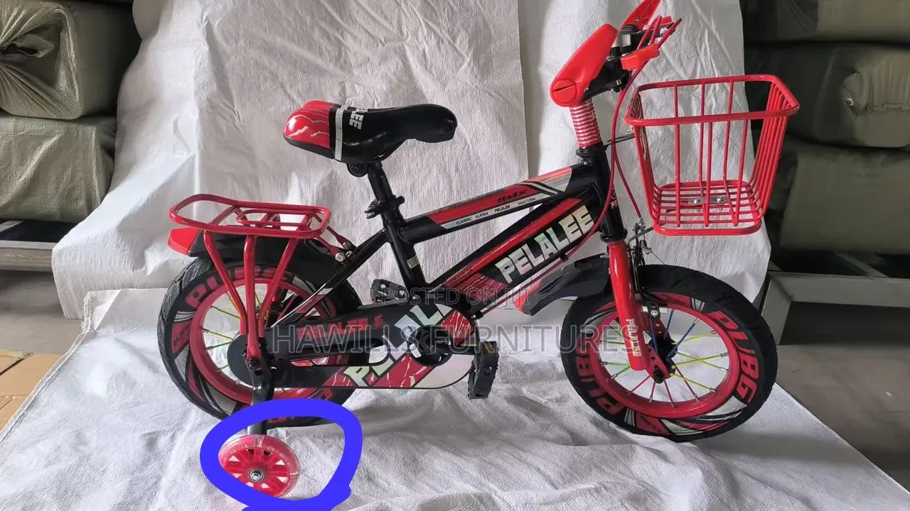 Brand New Kid Bicycle 2-4yrs