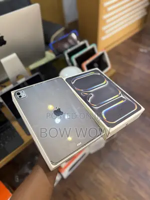 Apple iPad Pro 256 GB Gray