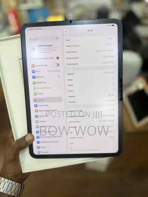 Apple iPad Pro 256 GB Gray