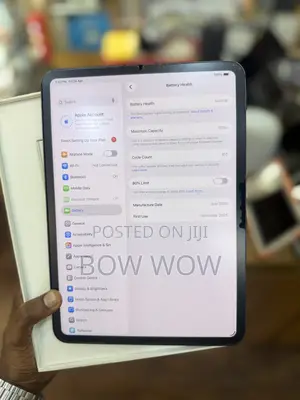 Apple iPad Pro 256 GB Gray