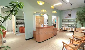 Salon Furnishings