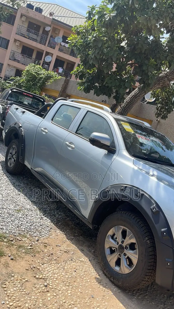 Great Wall King Kong Poer 2025 Silver