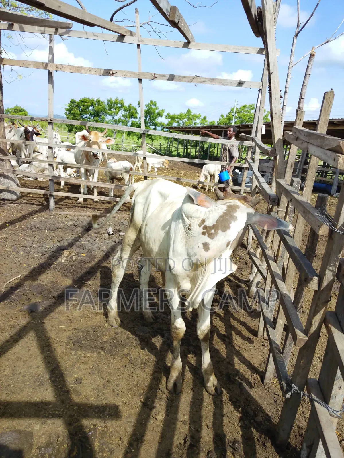 Farm Workers Needed
