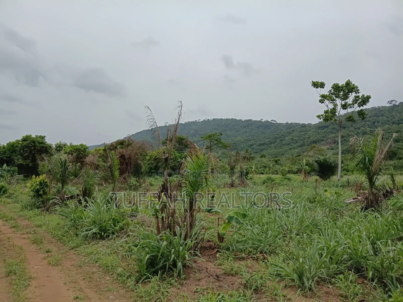 50 Acres Farmland for Sale