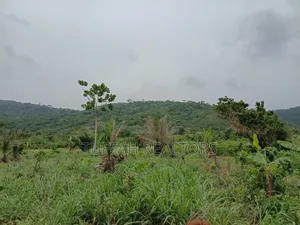 50 Acres Farmland for Sale
