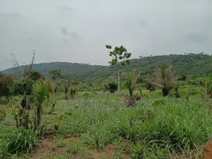 50 Acres Farmland for Sale