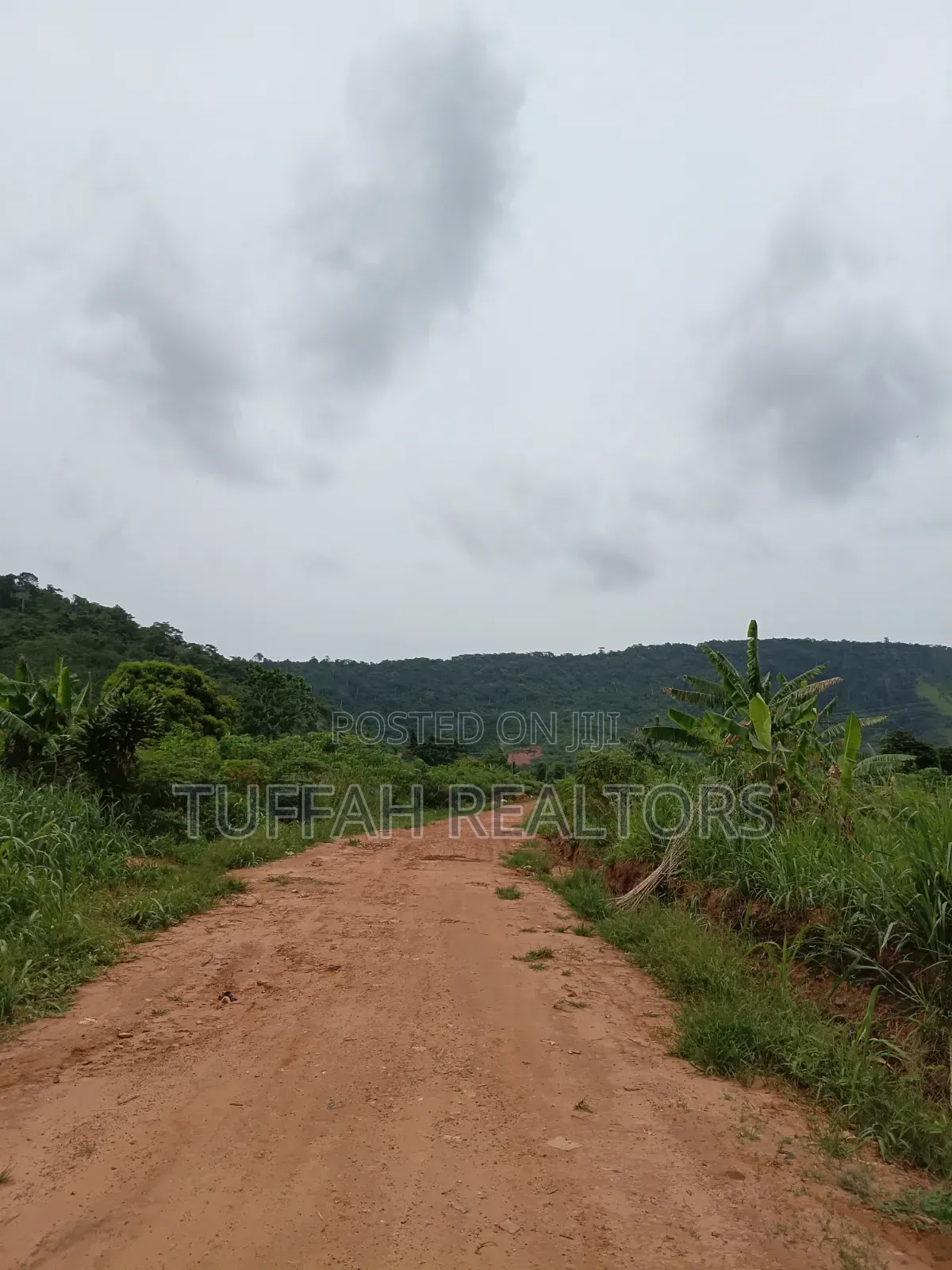 50 Acres Farmland for Sale