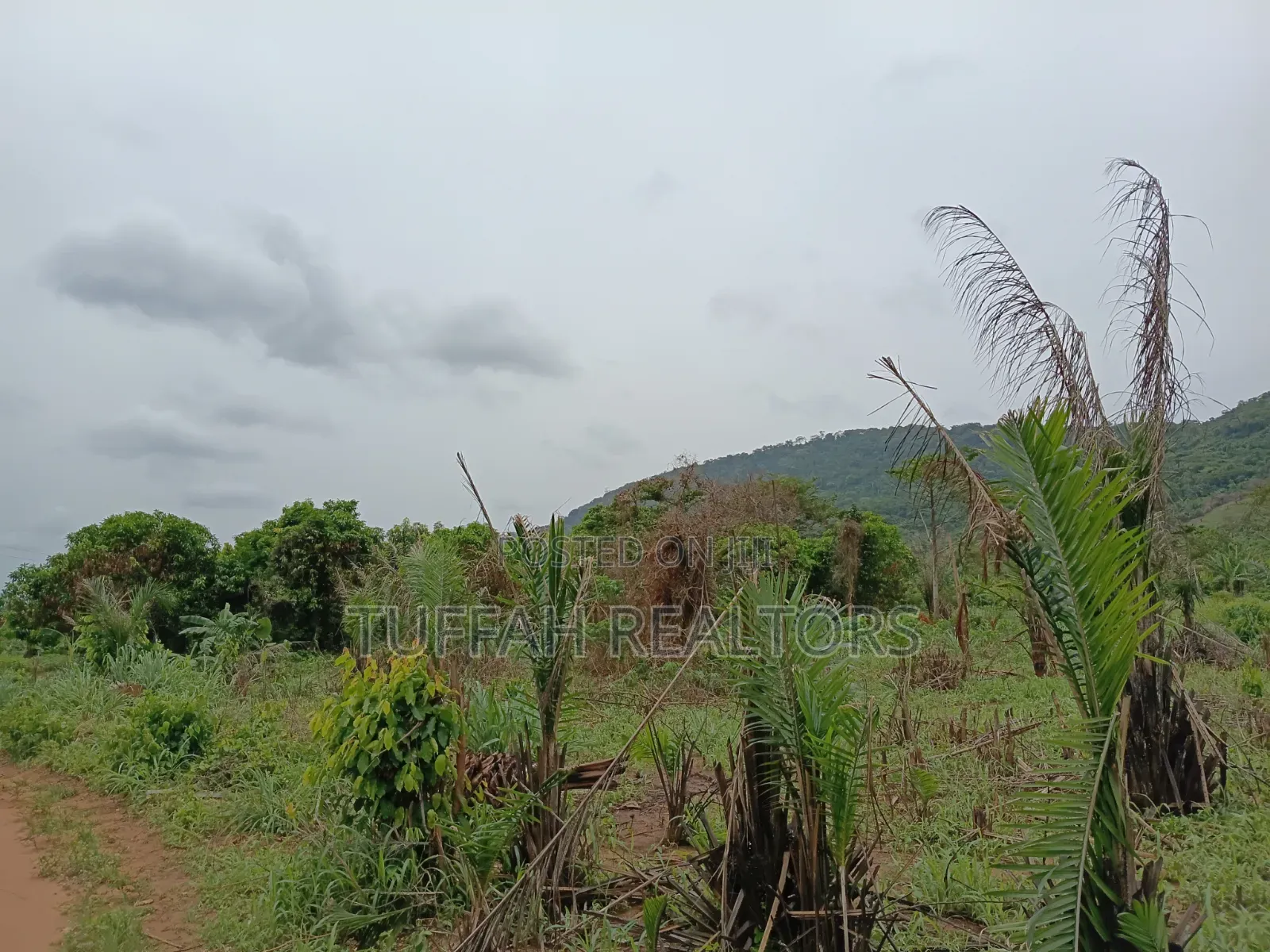 50 Acres Farmland for Sale