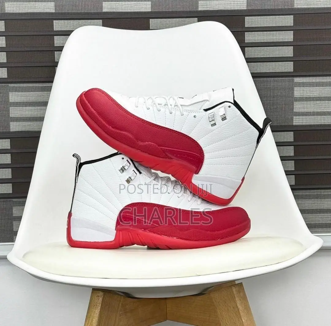 Nike Air Jordan 12 Retro