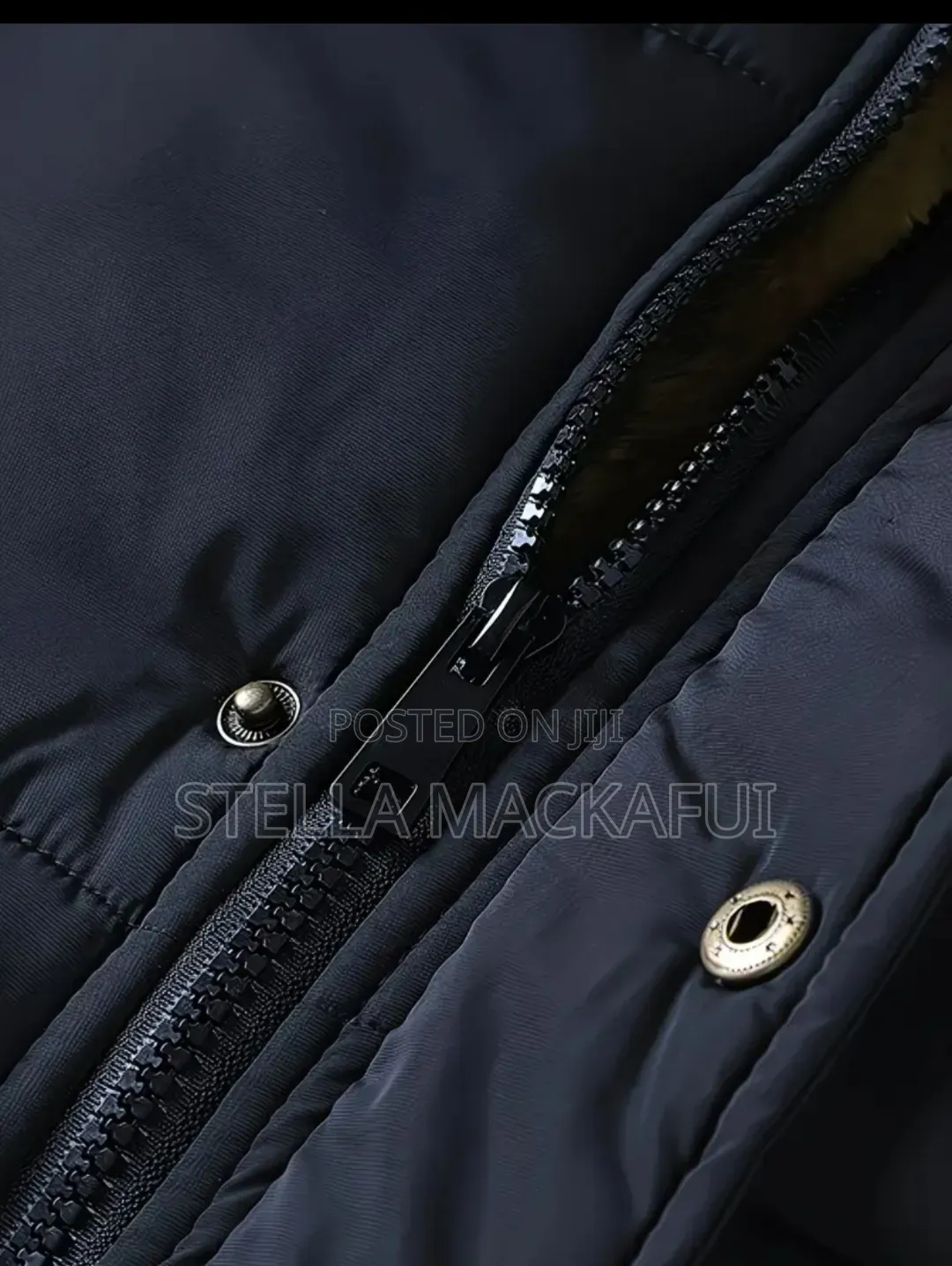 Executive Adult Winter Jackets