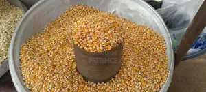Fresh Corn