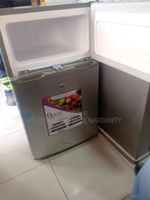 Roch Fresh Zone 85liters Two Door Fridge