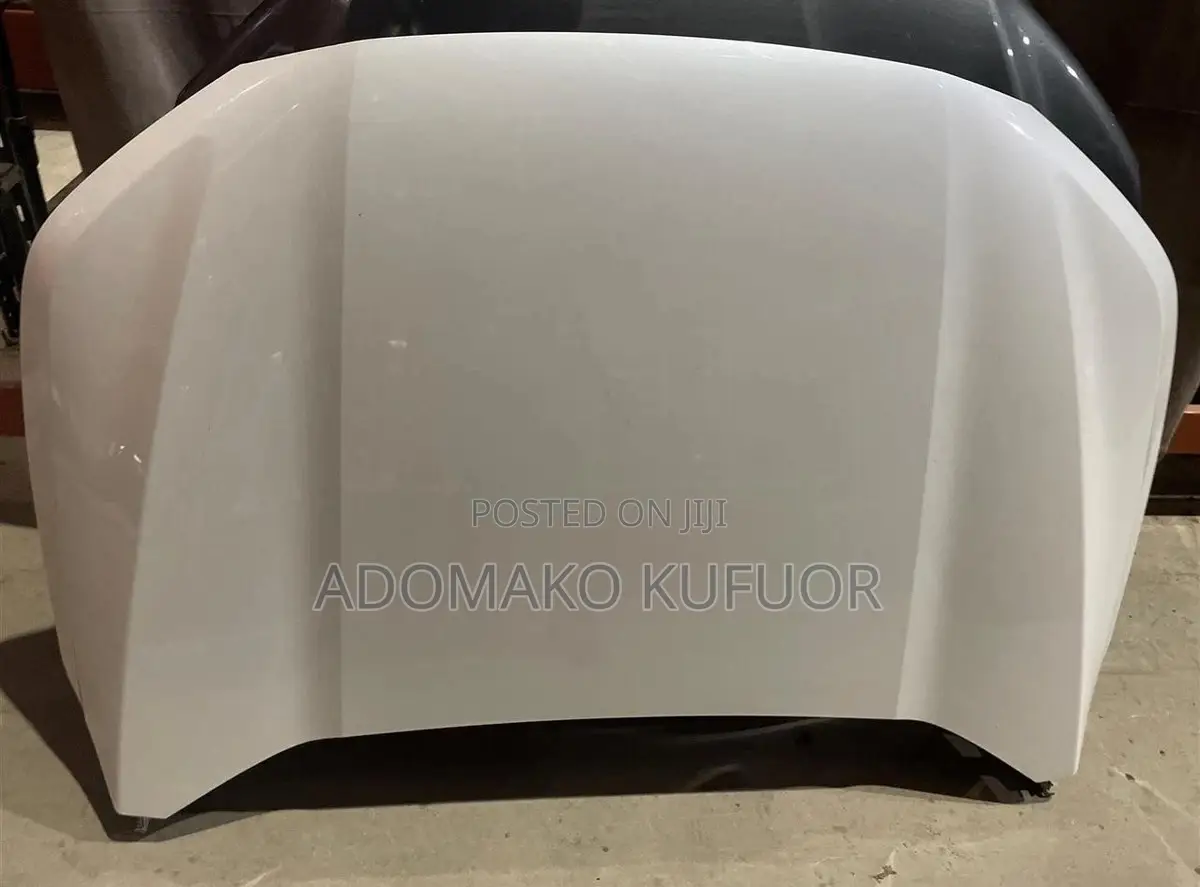 2017-2019 GMC Acadia Bonnet, Foreign Used