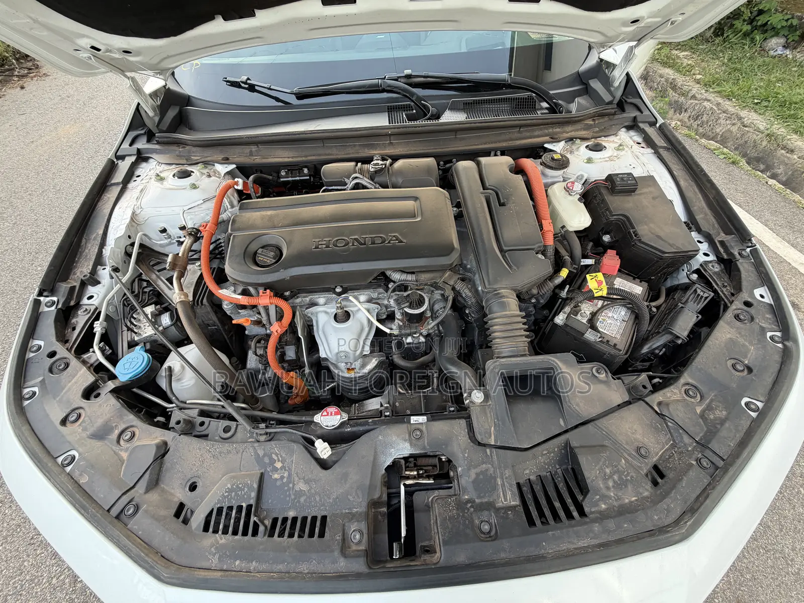 Honda Accord 2024 White