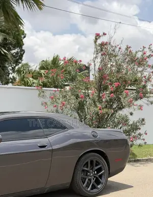 Dodge Challenger GT 2022 Gray