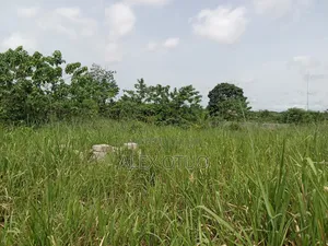 Plot of Land Abuakwa Darbaa