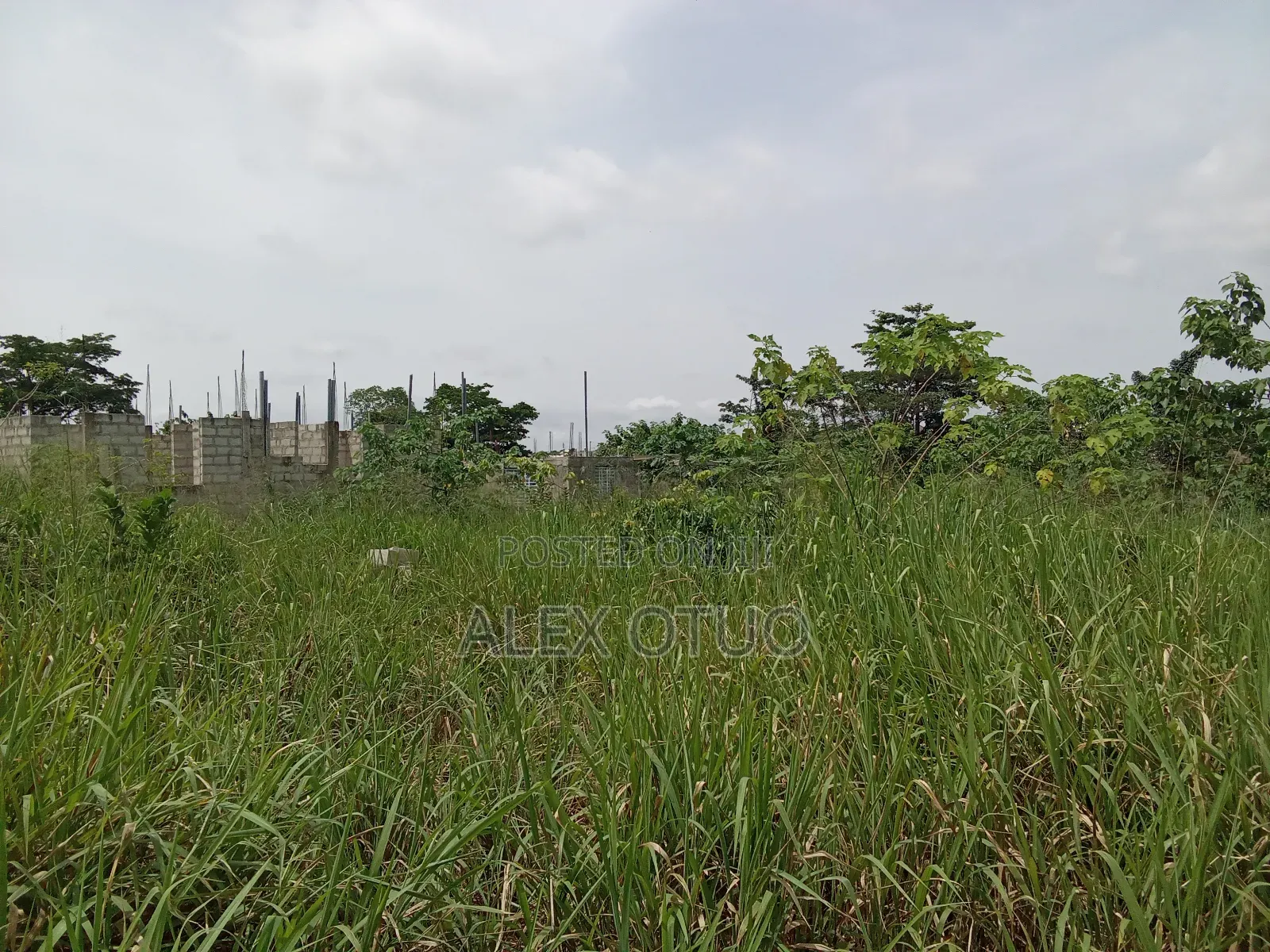 Plot of Land Abuakwa Darbaa
