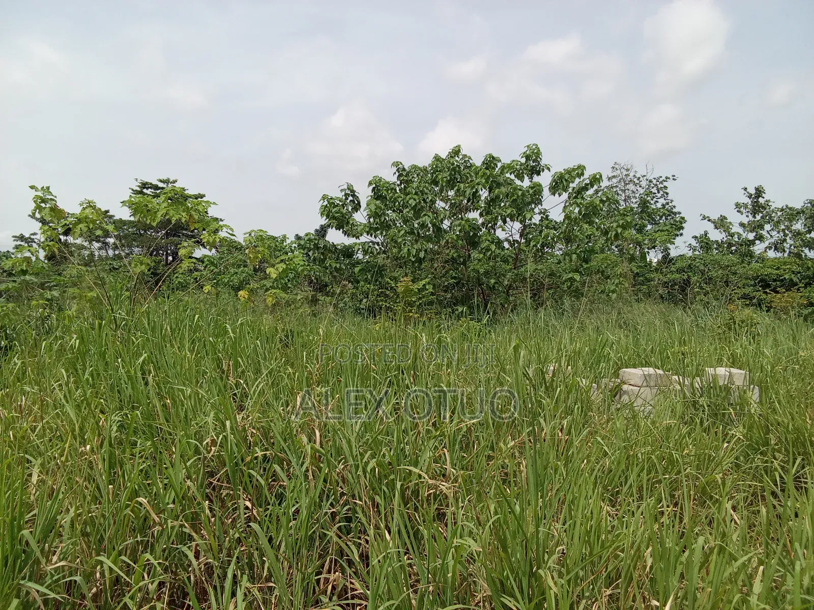 Plot of Land Abuakwa Darbaa