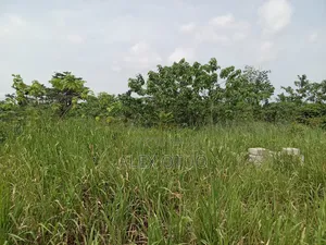 Plot of Land Abuakwa Darbaa