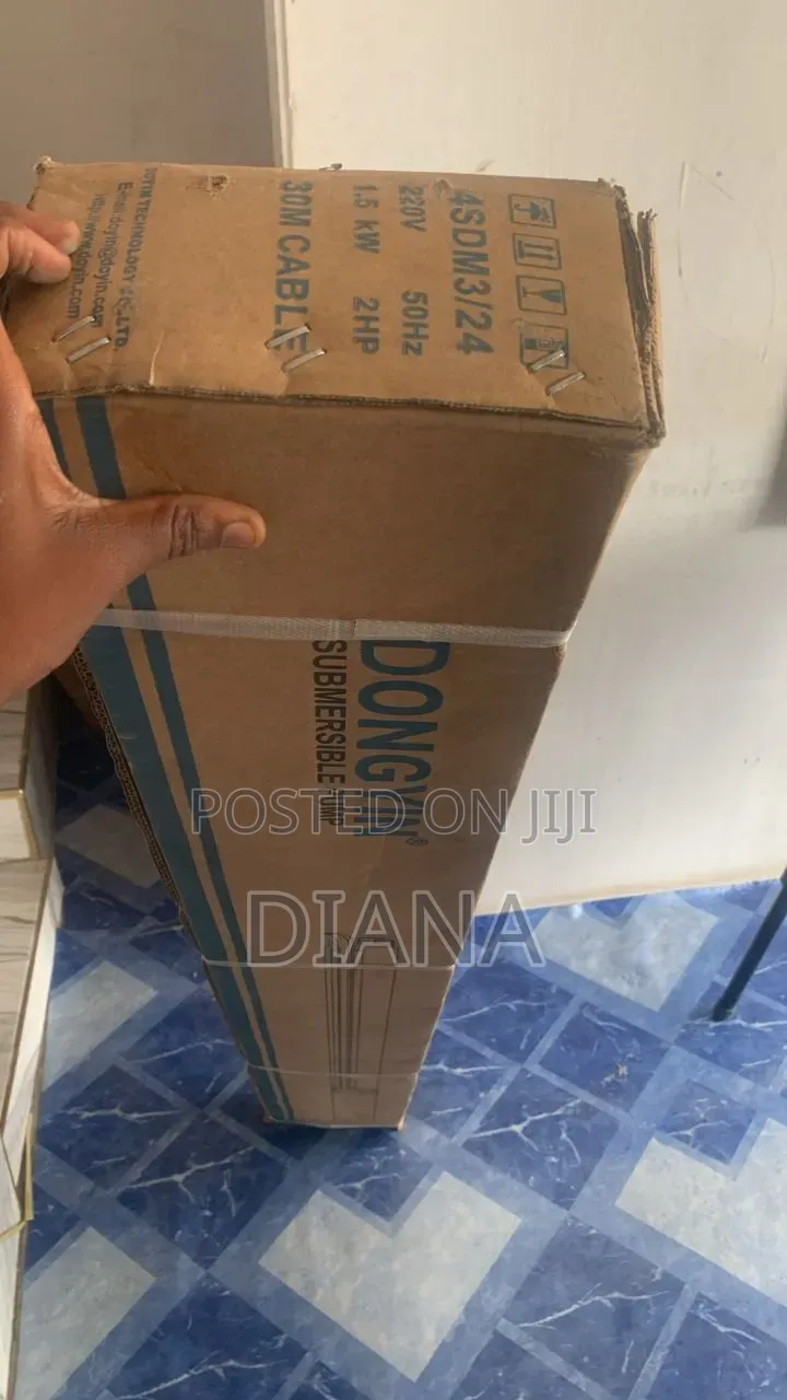 Dongyin Borehole Pump Complete