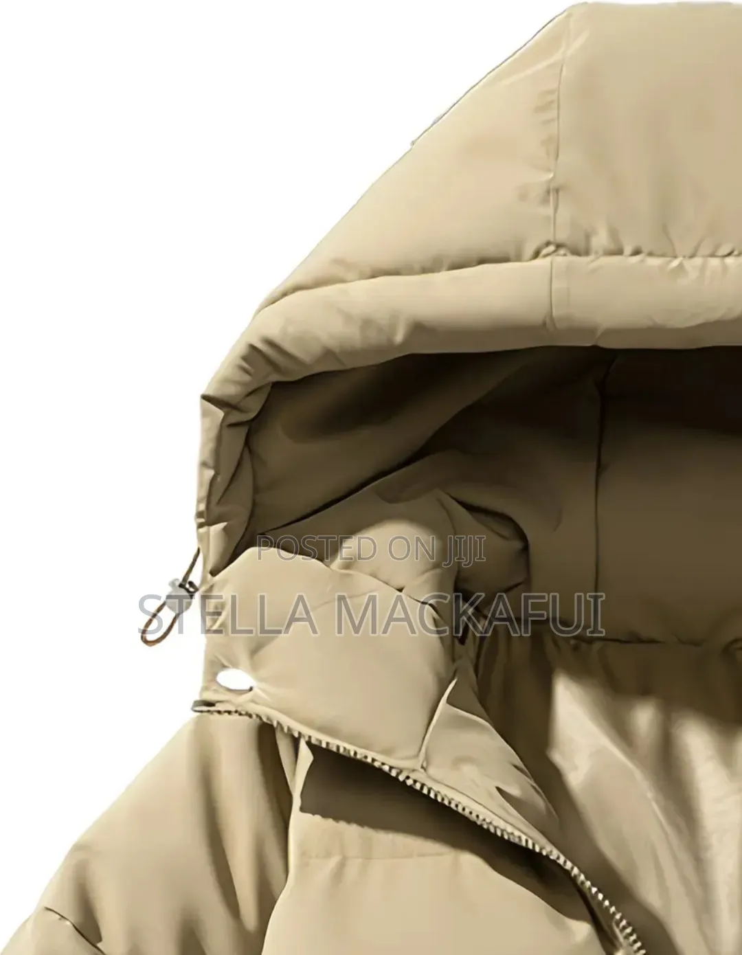 Beautiful Adult Winter Jackets