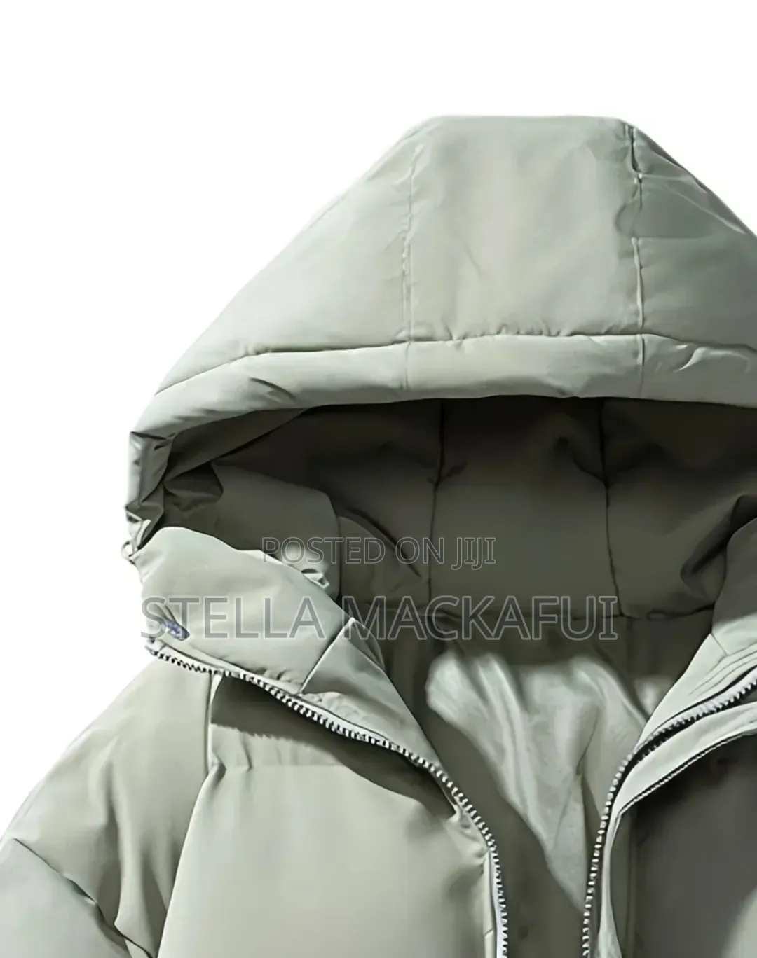 Beautiful Adult Winter Jackets