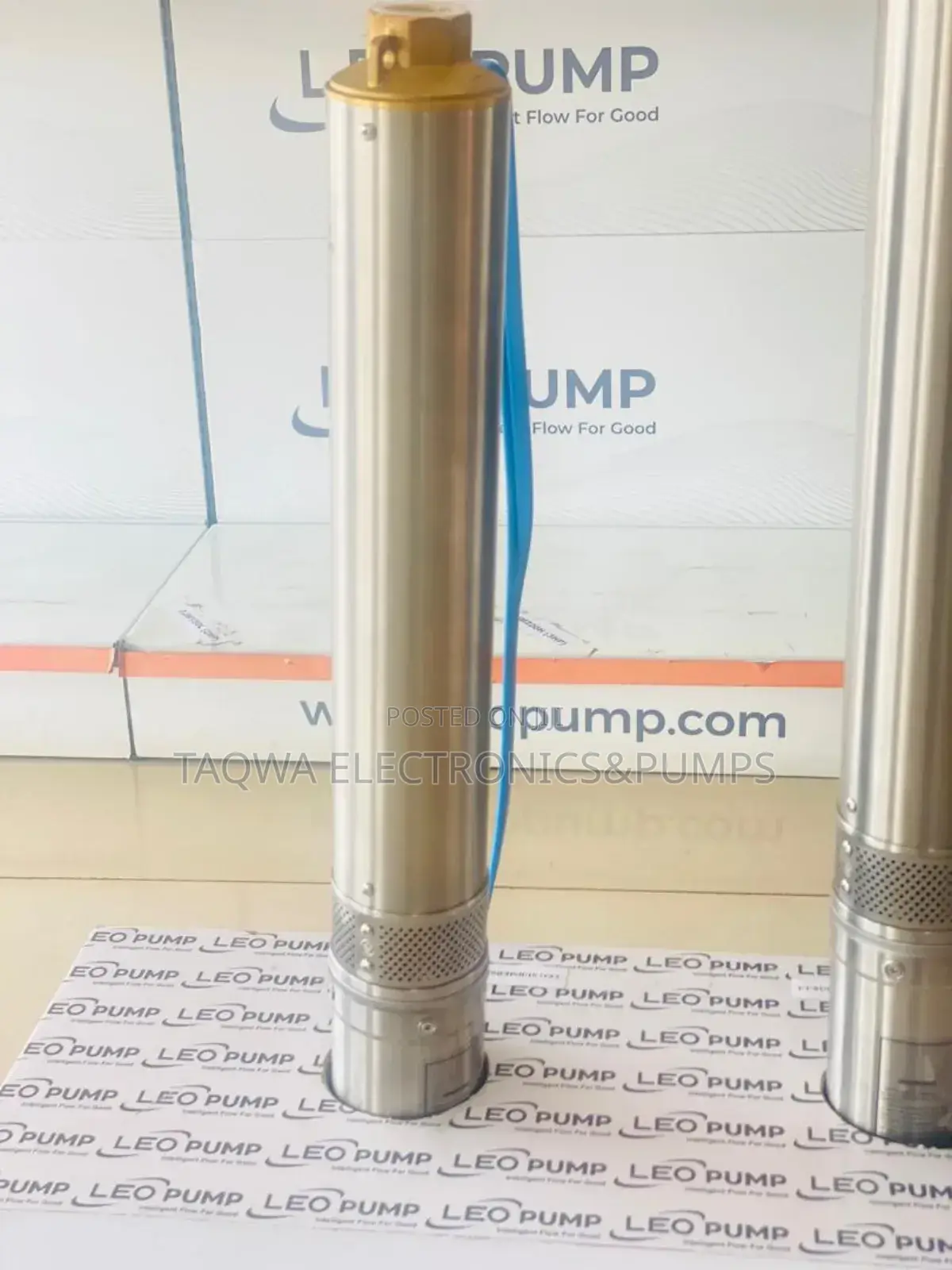 0.75kw \ 1.0hp Leo Borehole Pump