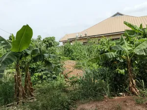 Plot for Sale at Gyenyase Nahinso ( Near Atonsu/ Kotei)