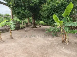 Plot for Sale at Esereso / Feyiase. ( 110*90) Ft