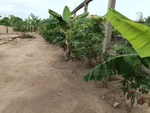 Plot for Sale at Esereso / Feyiase. ( 110*90) Ft