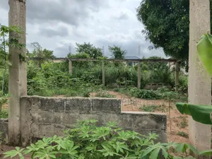 Plot for Sale at Esereso / Feyiase. ( 110*90) Ft
