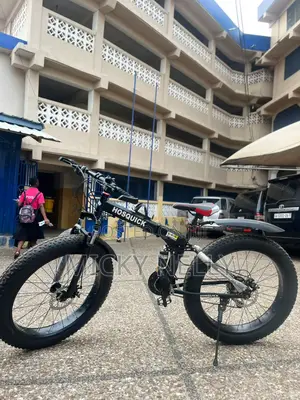 Hosquick Fat Tire Bicycle